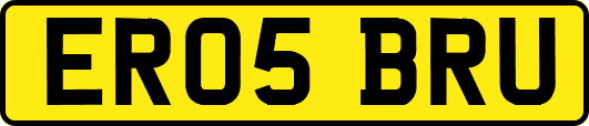 ER05BRU