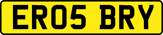 ER05BRY