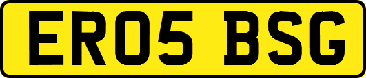 ER05BSG