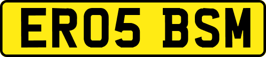 ER05BSM