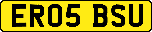 ER05BSU