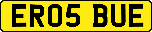 ER05BUE