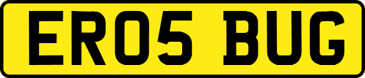 ER05BUG