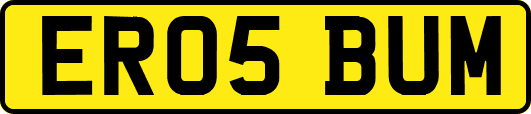 ER05BUM