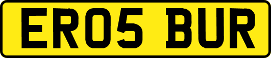 ER05BUR