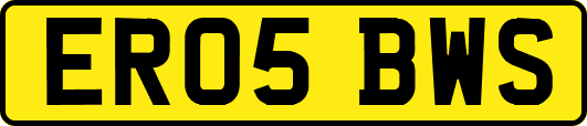 ER05BWS