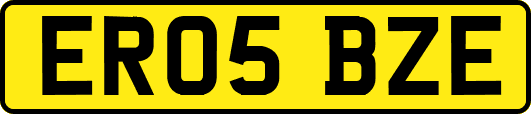 ER05BZE