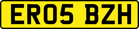 ER05BZH