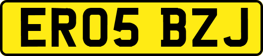 ER05BZJ