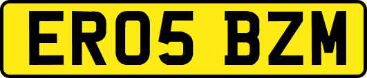 ER05BZM