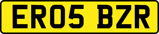 ER05BZR