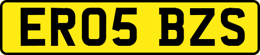 ER05BZS