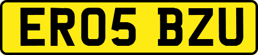 ER05BZU