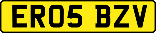 ER05BZV