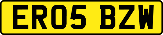 ER05BZW
