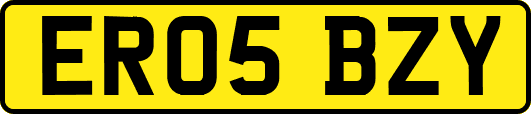 ER05BZY