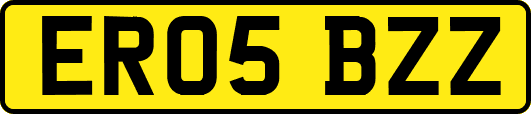 ER05BZZ