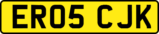 ER05CJK