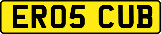 ER05CUB
