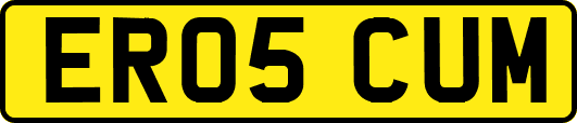 ER05CUM