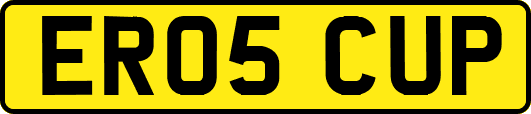 ER05CUP