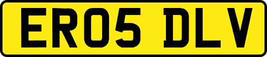 ER05DLV