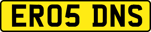 ER05DNS