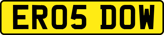 ER05DOW