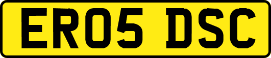 ER05DSC