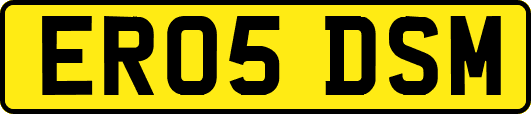 ER05DSM
