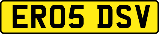 ER05DSV