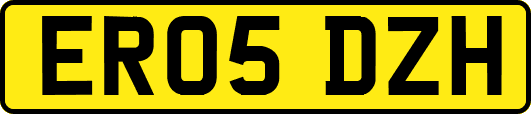 ER05DZH