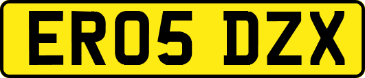 ER05DZX