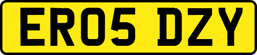 ER05DZY