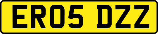 ER05DZZ