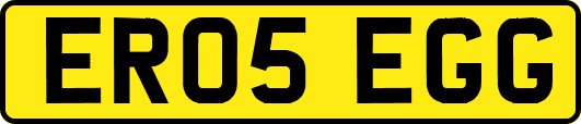 ER05EGG