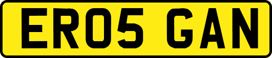 ER05GAN