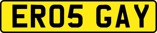 ER05GAY