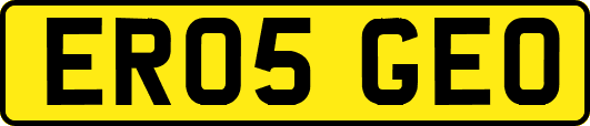 ER05GEO