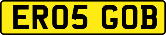 ER05GOB