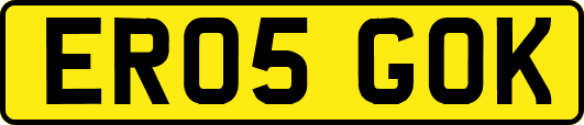 ER05GOK