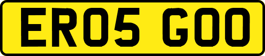 ER05GOO