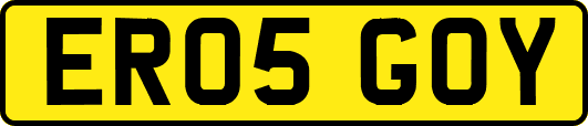ER05GOY