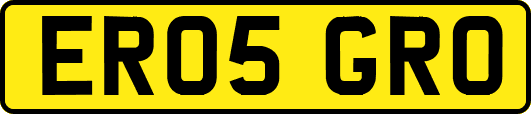 ER05GRO