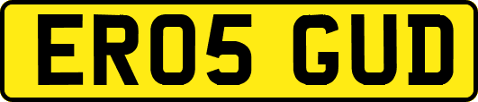 ER05GUD