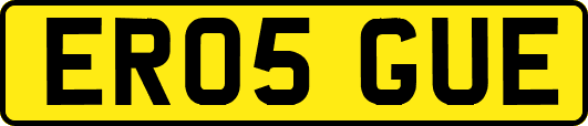 ER05GUE