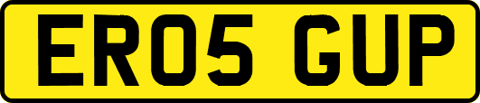 ER05GUP