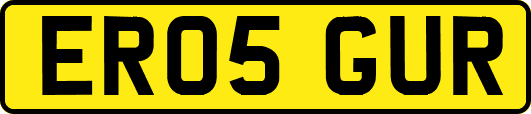 ER05GUR