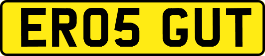 ER05GUT