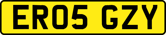 ER05GZY